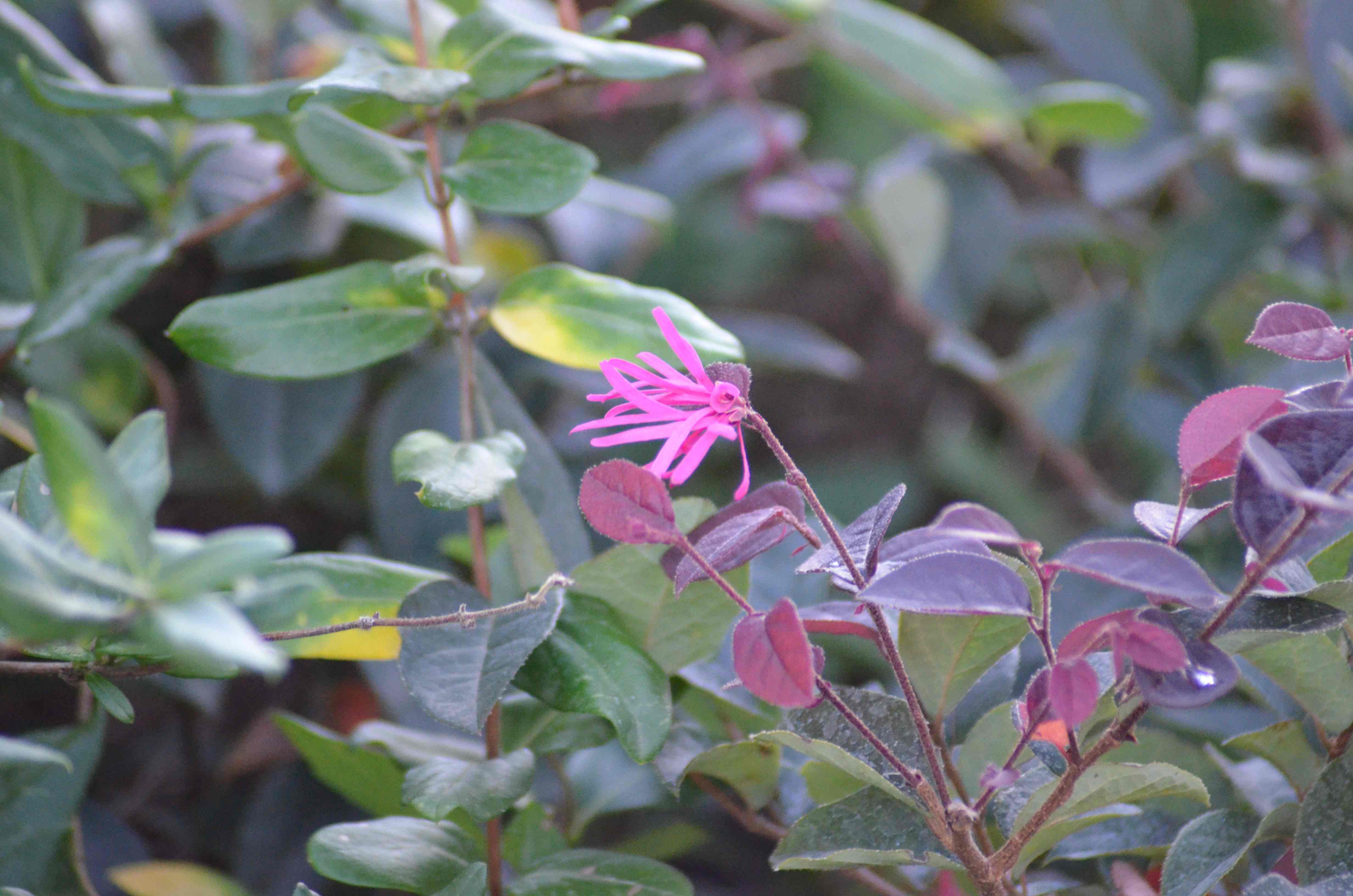 No s'ha trobat l'arxiu